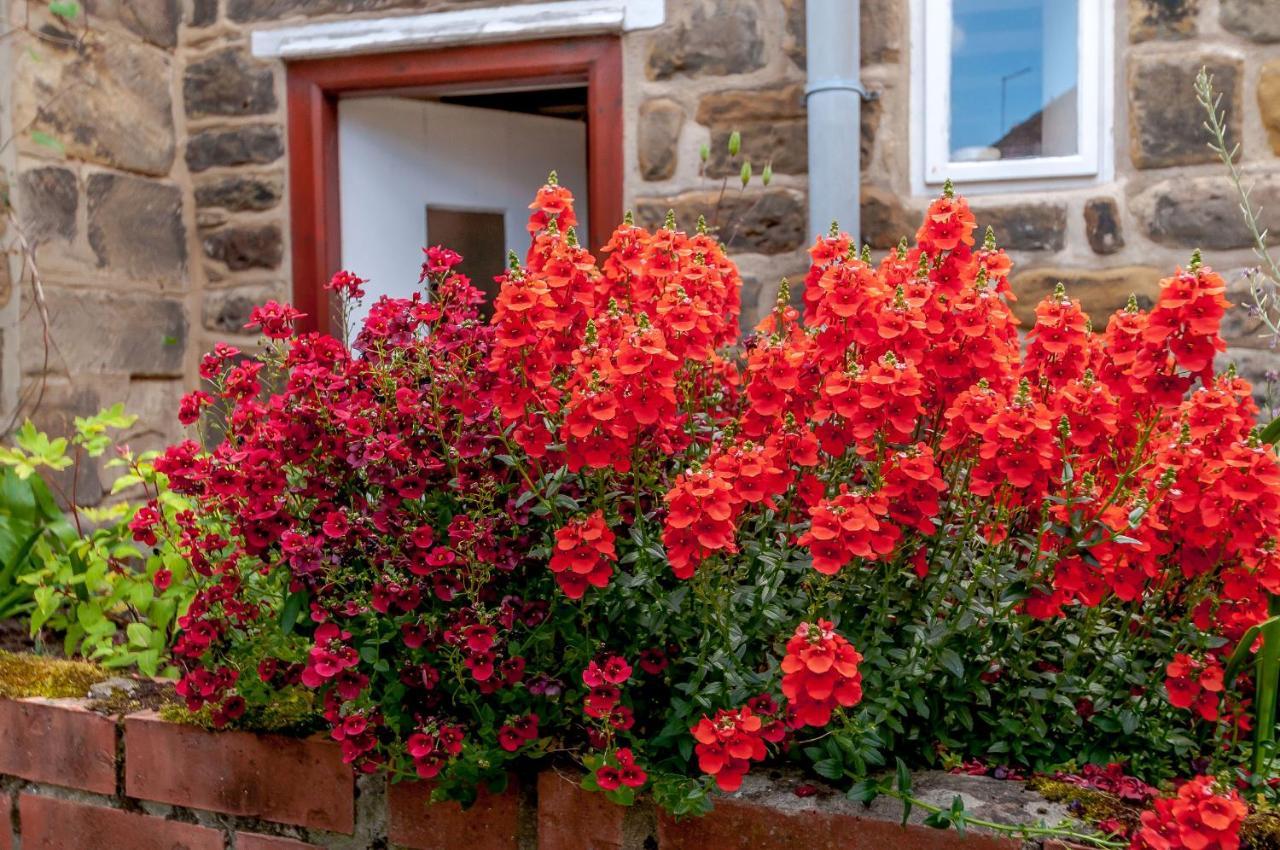 Chimes Cottage Guisborough Exterior photo